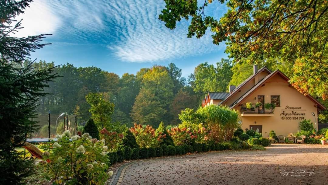 Agromurena Gryfów Śląski Extérieur photo