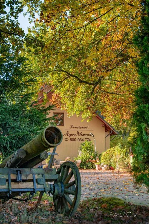 Agromurena Gryfów Śląski Extérieur photo